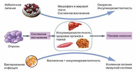 Инсулинорезистентность диета и лечение форум ИНСУЛИНОРЕЗИСТЕНТНОСТЬ - индекс, анализ, лечение и диета ИНСУЛИНОРЕЗИСТЕНТНОСТЬ - индекс, анализ, лечение и диета Инсулинорезистентность диета и лечение форум