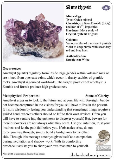 Crystal Lore 4 Amethyst Free Oracle Card All Natural
