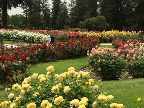 Save hotel valencia santana row to your lists. Municipal Rose Garden | Beautiful gardens, Rose garden, Garden