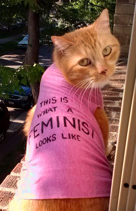 Cat Feminist Lavender Magazine