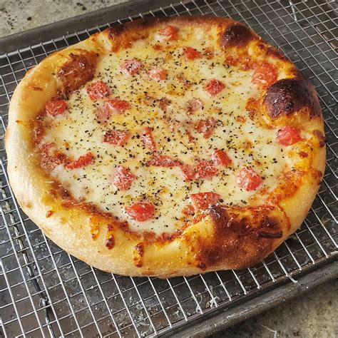 Kept It Simple With This One Mozzarella And Diced Tomatoes R Pizza