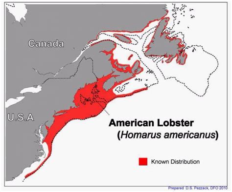 The Mystery Of The Great American Lobster Boom And How It Could Go Bust