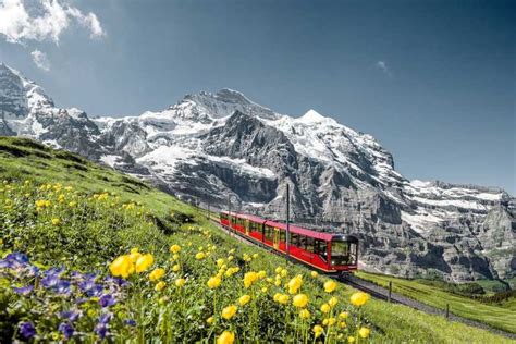 Jungfraujoch Escursione Da Interlaken Getyourguide