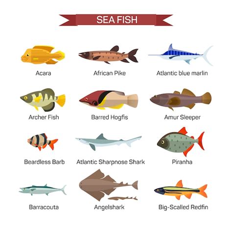 Premium Vector Fish Vector Set In Flat Style Design Ocean Sea And