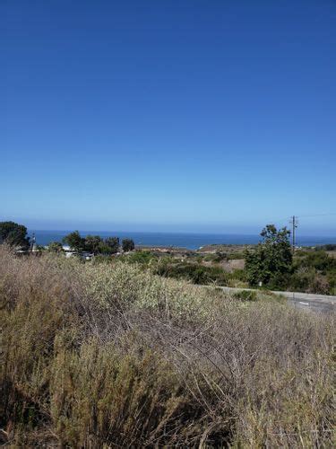 Best 10 Trails In Crystal Cove State Park Alltrails