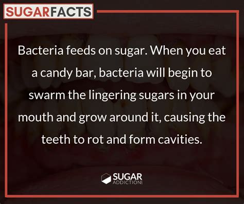 Bacteria Feeds On Sugar When You Eat A Candy Bar Bacteria Will Begin