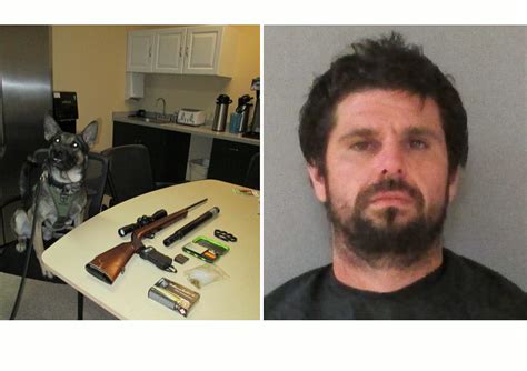 Sex Offender Arrested During Traffic Stop When Deputies Find Weapons And Drugs In Car Observer