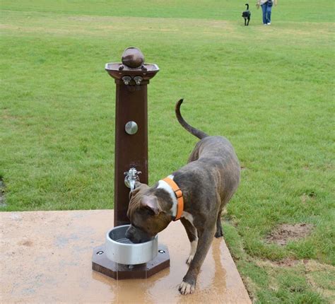 Dog Park Drinking Fountains Cat Playground Outdoor Dog