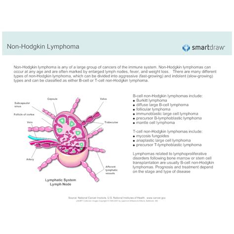 Non Hodgkin Lymphoma 2