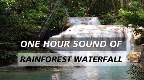 Rainforest Waterfall Jungle Sounds Relaxing Tropical Nature Sound