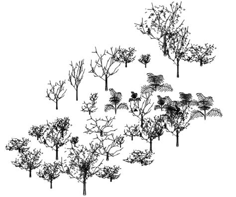 Dynamic Multiple Assorted Tree Elevation 3d Blocks Cad Drawing Details