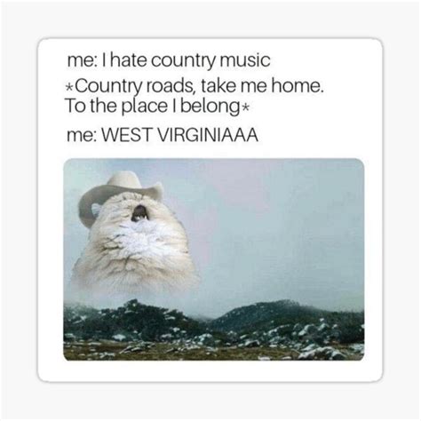 Cat Singing Country Roads Meme Jhayrshow