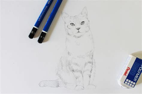 How To Draw A Cat How To Draw A Realistic Cat Step By Step Easy