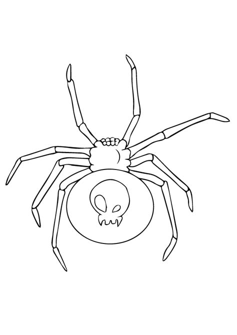 Black Widow Spider Coloring Pages