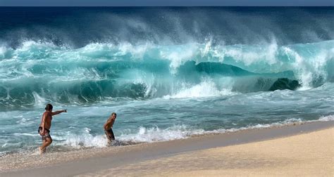 Best Wave Watching On The North Shore Oahu Hi