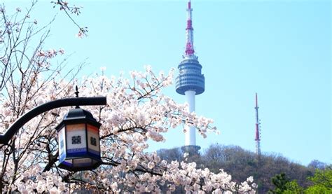 South Koreas Spring Festivals Things To Look Out For In March And April