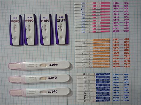 11 20 Dpo And 25 Dpo Progression And Comparison Between Equate One Step