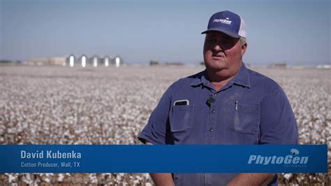 New Cottonseed Varieties Maximize Yields In West Texas Youtube