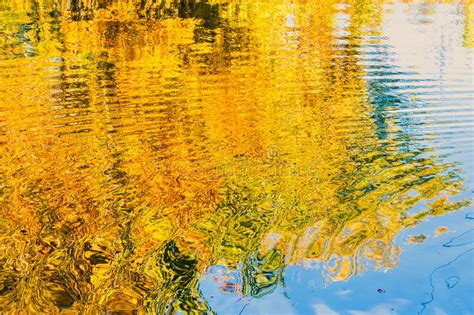 Abstract Photo Of Autumn Trees Reflected In Water Stock Photo Image