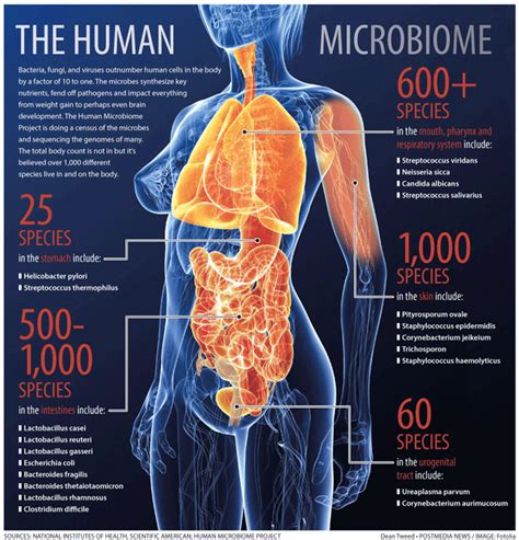 Pharmaceutical Microbiology