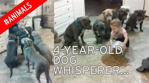 Shocking Video Of Girl Aged Feeding A Pack Of Hungry Pit Bulls