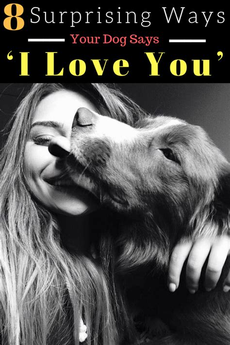 8 Surprising And Secret Ways Your Dog Says ‘i Love You