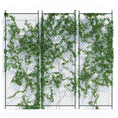 Ivy Wall 3d Model Ivy Wall Green Wall Plants Green Facade