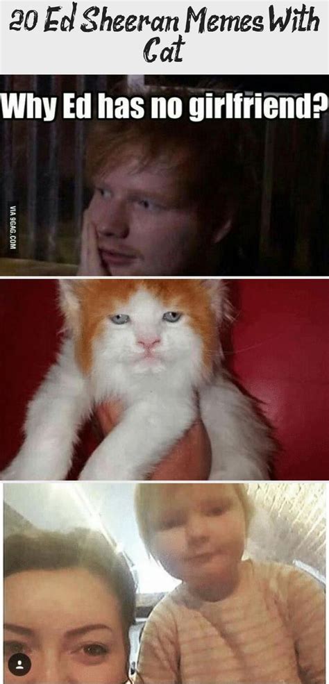 20 Ed Sheeran Memes With Cat Ed Sheeran Memes Memes Ed Sheeran