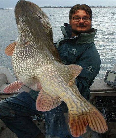 World Record Biggest Fish Caught On Rod And Reel