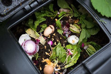 Things You Can T Compost