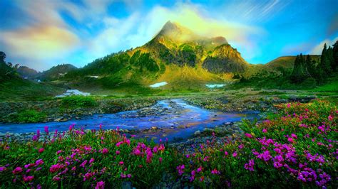 Nature Landscape Spring Melting Of Snow Wild Purple Flowers Stream