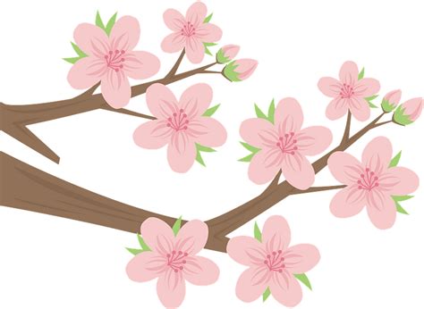 Cherry Blossoms Branch Clipart Free Download Transparent Png Creazilla