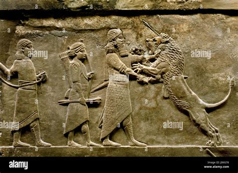 King Ashurbanipal Lion Hunt Hi Res Stock Photography And Images Alamy