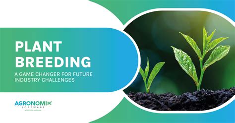 Plant Breeding A Game Changer For Future Industry Challenges