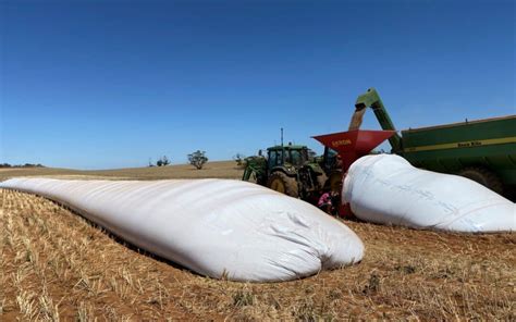 Gpsa Project Explores Future Options For Grain Silo Bags Grain Producers Sa