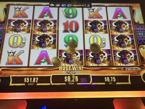 All About The Buffalo Slot Machine Series Know Your Slots