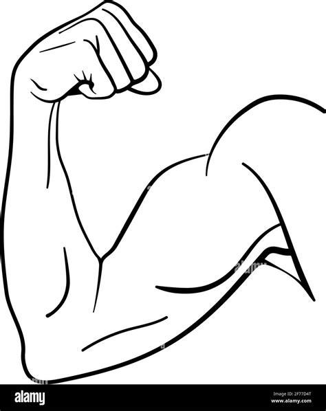 Fuerte Músculo Del Brazo Del Bíceps Para La Fuerza Y El Concepto De La