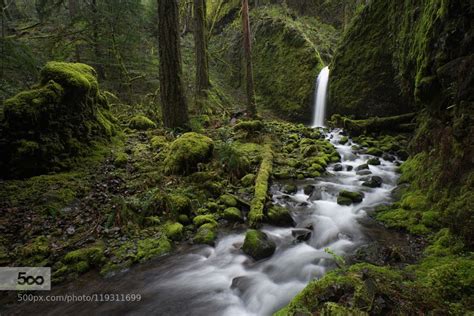 Mossy Grotto Ii Landscape Photography Grotto Landscape