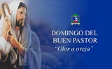 CUARTO DOMINGO DE PASCUA: DÍA DEL BUEN PASTOR - Diócesis de Ciudad del Este