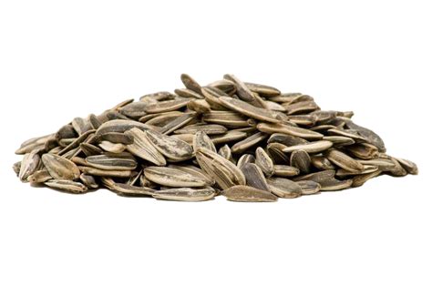 Sunflower Seeds Transparent Images Png Play