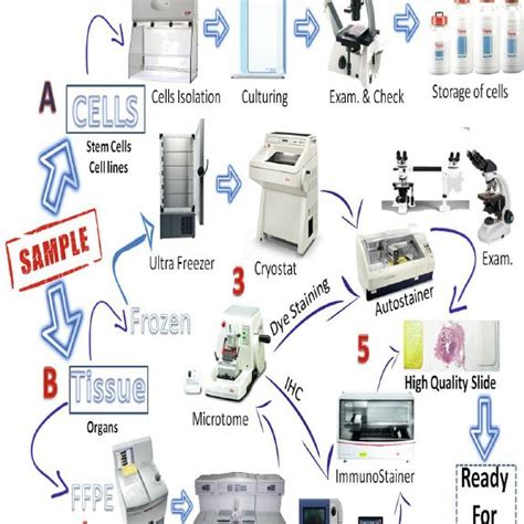 Pathology Lab Process Download Scientific Diagram
