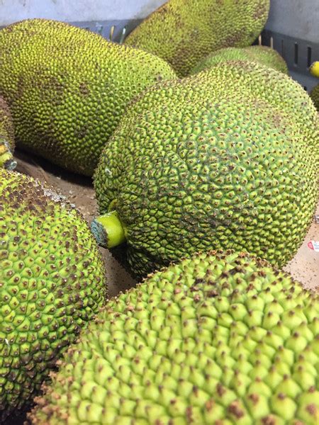 Unusual Fruits From Around The World Can You Identify These Unusual