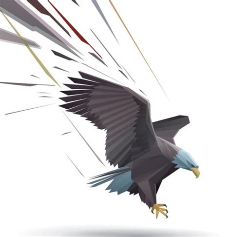 Landing Bald Eagle Illustrator With Diving Pose Download Free Animal
