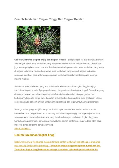 Check spelling or type a new query. (DOC) Tumbuhan Tingkat Tinggi Dan Tingkat Rendah | sifa ...