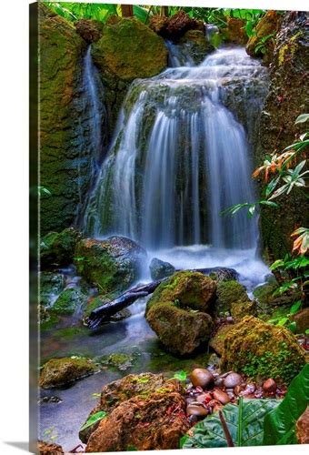 Waterfall In Tropical Rainforest Of Fairchild Tropical