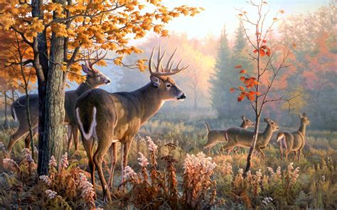 Fantasy Art Green Deer Wallpapers Hd Desktop And Mobi