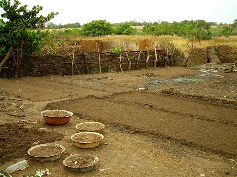 Senegal Agriculture Agriculture Nature Small Fields Outsi Flickr