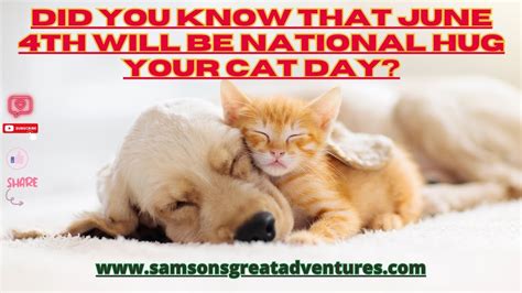 National Hug Your Cat Day 2023 Dogs Hugging Cats Funny Dog And Cat