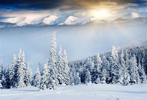 Nature Winter Mountain Christmas Tree Snow Sun Rays Hd