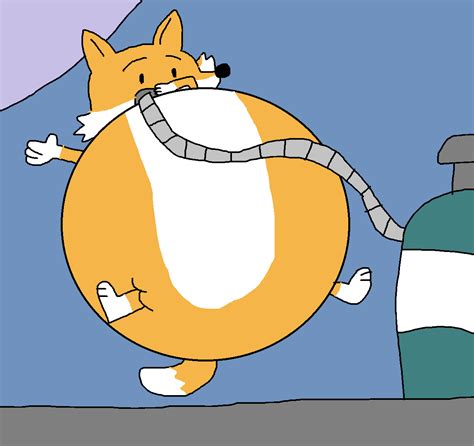 Too Much Fox Inflation Fox Inflation By Mexicofox2010 On Deviantart
